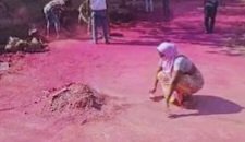 Dombivli-Pink-Road-2025-12-30157c79a48b6f4f1e86af2f6f6fe6d5-16x9